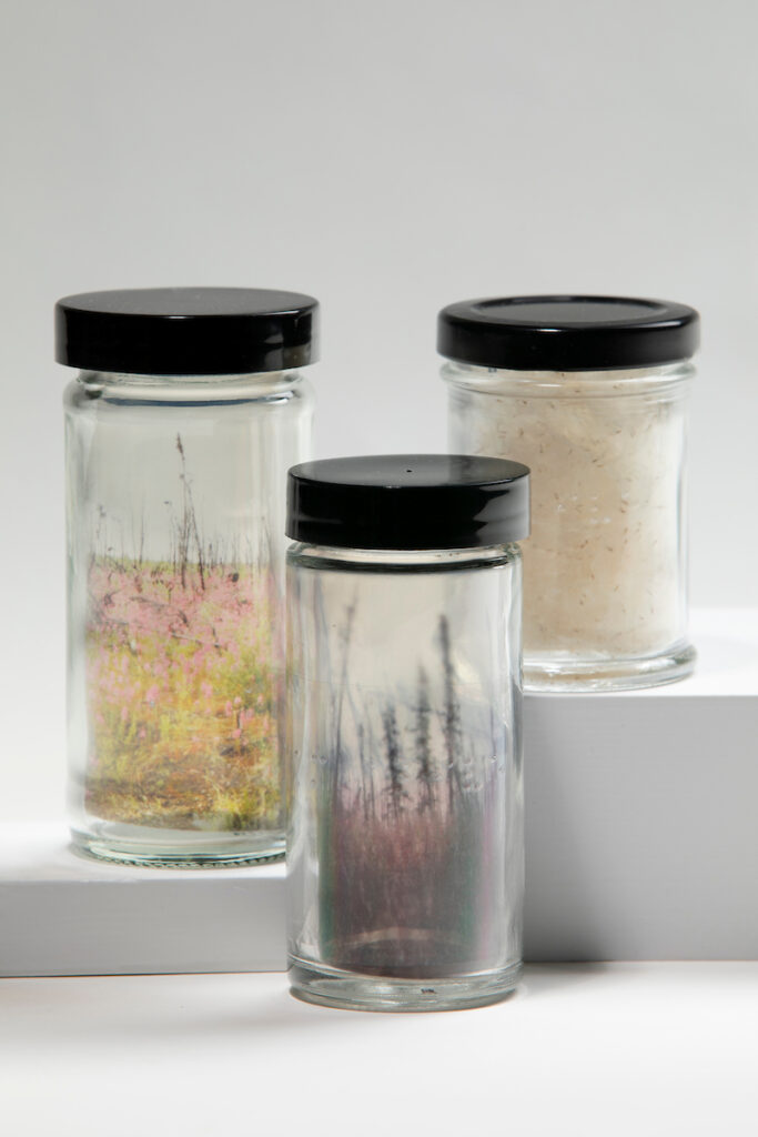 Jars with photographs of natural objects inside