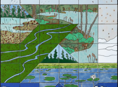 Wetland Patterns