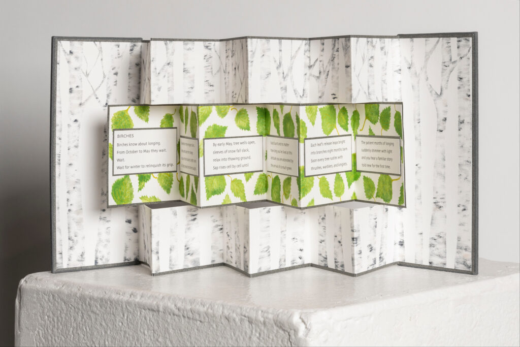 Birches folded book