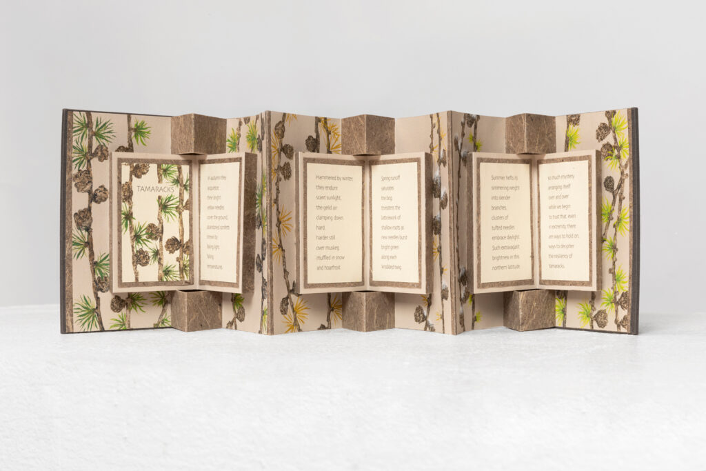 Tamarack folded book